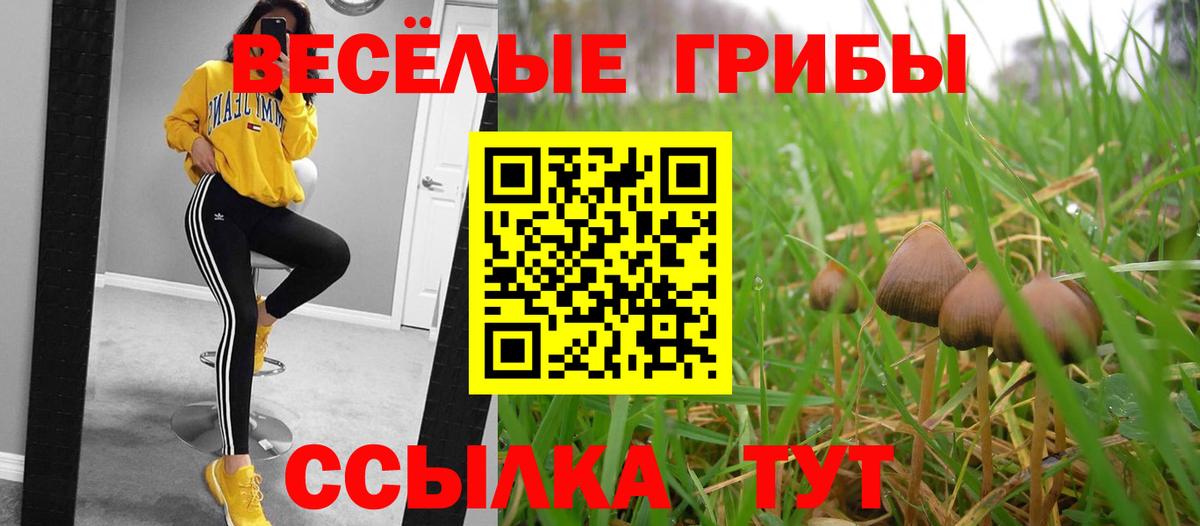 Галлюциногенные грибы Cubensis Железноводск